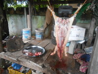DSCN1843.JPG