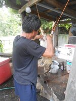 DSCN1842~2.JPG