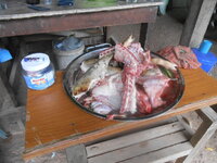 DSCN1849.JPG