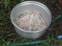 DSCN1854.JPG