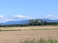 Image4822.jpg