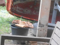 DSCN1861.JPG