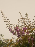 DSCN2042~2.JPG