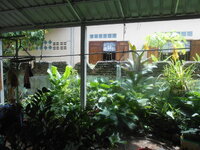 DSCN1838.JPG