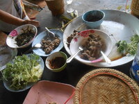 DSCN1880.JPG