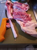 IMG_20250815_164229_461.jpg