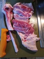 IMG_20250815_164206_405.jpg