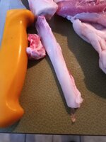 IMG_20250815_164217_453.jpg