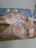 DSCN1908~2.JPG