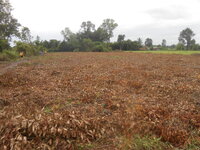 DSCN2150.JPG