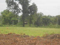 DSCN2156.JPG DSCN2156.JPG