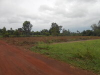 DSCN2160.JPG