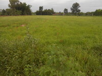 DSCN2158.JPG