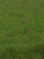 DSCN2159~2.JPG