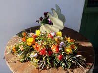 IMG-20250319-WA0011.jpg