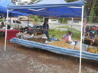 DSCN2220.JPG