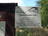 Image3873.jpg