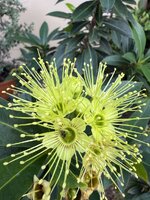 IMG_8178.jpeg