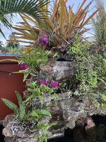 IMG_8176.jpeg