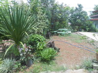 DSCN2308.JPG DSCN2308.JPG