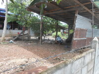 DSCN2317.JPG DSCN2317.JPG