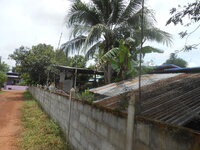 DSCN2316.JPG DSCN2316.JPG