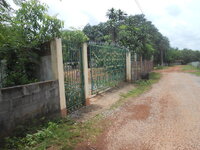 DSCN2320.JPG DSCN2320.JPG