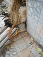 DSCN1770~2.JPG DSCN1770~2.JPG