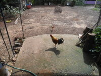 DSCN0103.JPG DSCN0103.JPG