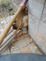 DSCN1769~2.JPG DSCN1769~2.JPG