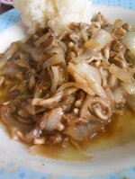 DSCN1692~2.JPG DSCN1692~2.JPG