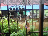 DSCN2335.JPG DSCN2335.JPG