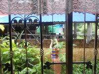 DSCN2334.JPG DSCN2334.JPG