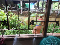 DSCN2333.JPG DSCN2333.JPG