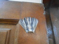 DSCN2331.JPG