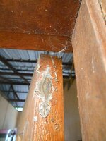 DSCN2339~2.JPG