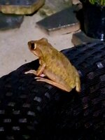 20250829_203230.jpg