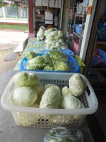 DSCN2355~2.JPG
