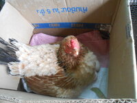 DSCN2376.JPG