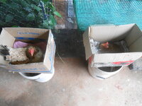 DSCN2375.JPG
