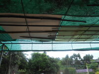 DSCN2386.JPG