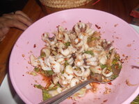DSCN2392.JPG