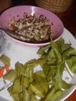 DSCN2391~2.JPG