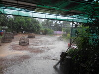 DSCN2409.JPG