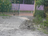 DSCN2410.JPG