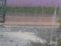 DSCN2411.JPG