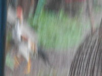 DSCN2413.JPG