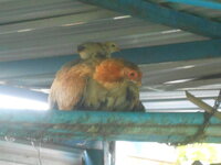 DSCN2419.JPG