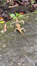 IMG_5155.jpeg