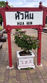 IMG_5199.jpeg